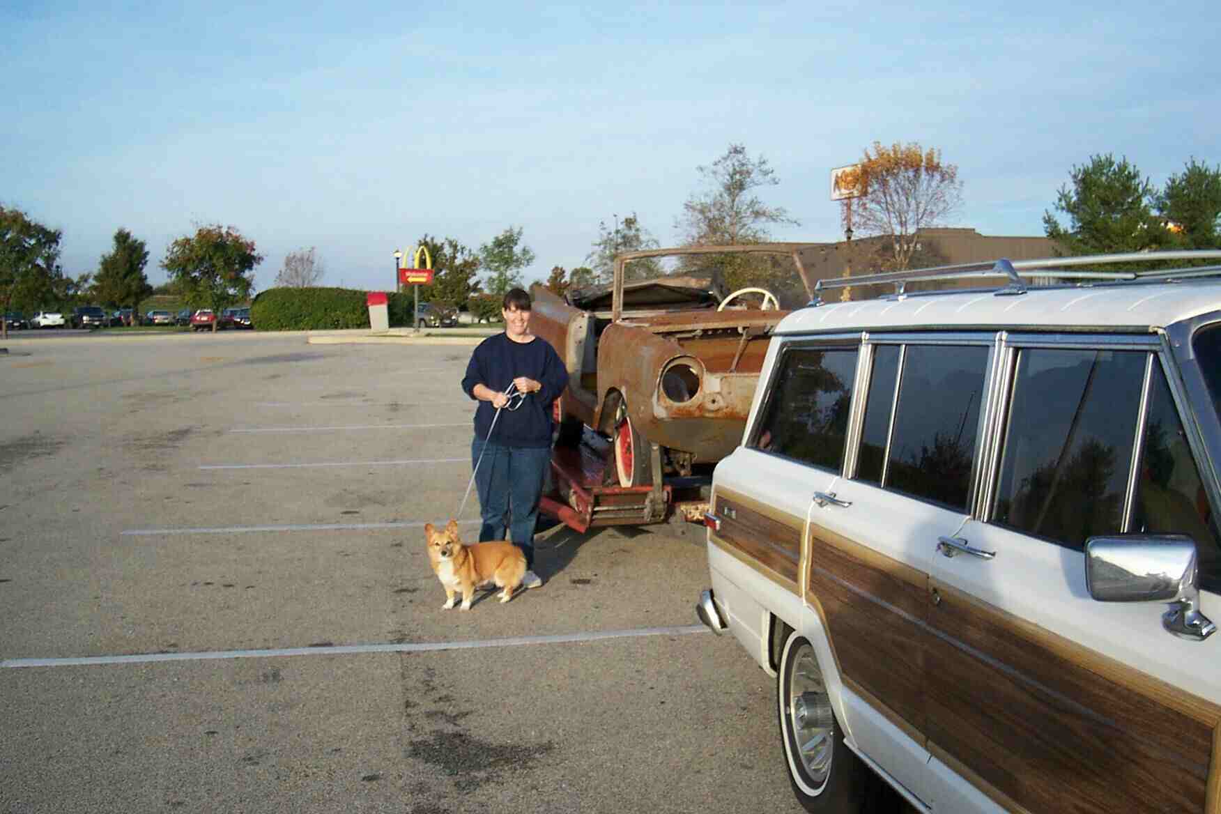 wife dog car